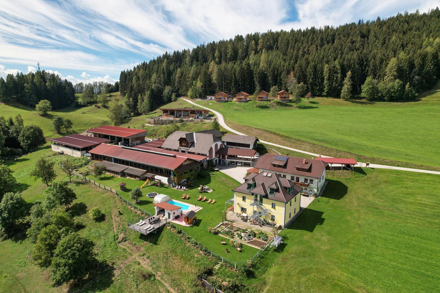 Erlebnisbauernhof Steinerhof In Kaernten Villa Liebenfels Exterior photo