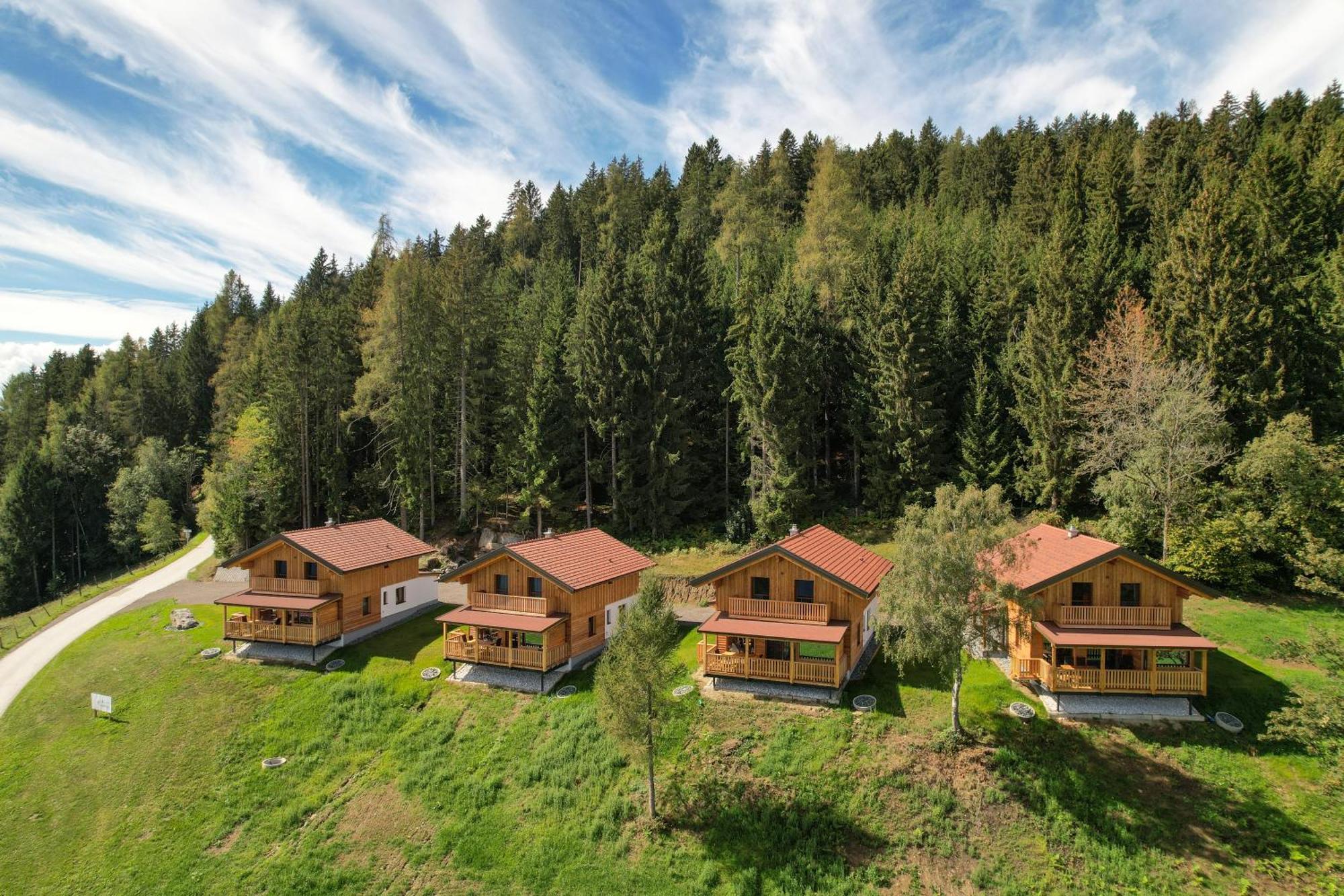 Erlebnisbauernhof Steinerhof In Kaernten Villa Liebenfels Exterior photo